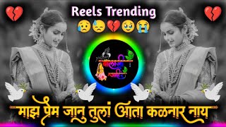 Maz Prem Janu Tula Ata Kalnar Nay | Mi Punha Milnar Nay Insta Reel | Active Pad Mix Dj Balaji Jahire