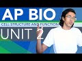 Cell Structure and Function Concepts