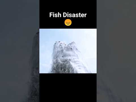 Fishy Dis@ster ?