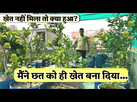 खेत नहीं मिला तो छत को बना डाला फार्म! उगाई Vegetable और Fruit, हर कोई देखके चौंका!