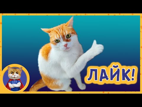 Странные коты: Рыжик и Печенька. Снова пришел кот-оборотень