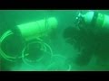 Kelp Forest Ecosystem Understanding