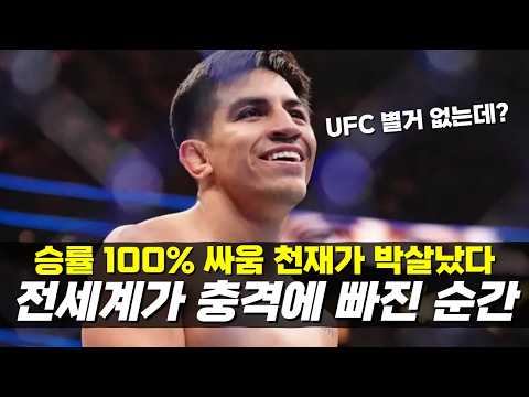 승률 100% 싸움 천재가 26초만에 박살났다!!? 등장하자마자 UFC 파이터들을 모조리 패버린 신인 싸움꾼 ㄷㄷ