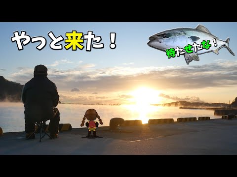 悲運の釣り師、青物を釣る。