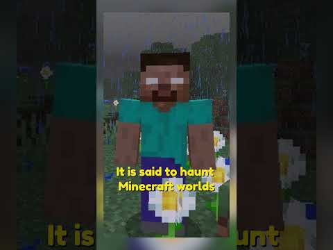 Ghost in the Game - Episode 1 #shorts #herobrine #minecraft #videogames #haunted