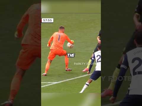 This Goalkeeper Deserves a Card