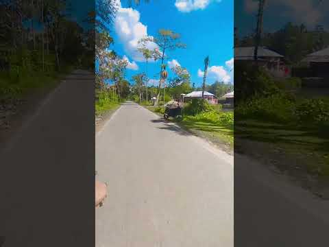 #nature #highlights #viralvideo #love #youtubeshorts