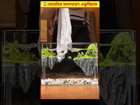 😱 মেয়েটার তৈরী অসাধারণ একুরিয়াম দেখে অবাক হয়ে যাবেন | Aquarium Decoration Bangla