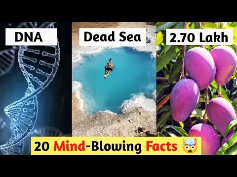 20 Mind-Blowing FACTS | Why Is Only Sunday A Holiday | Dead Sea | Mango Cost Rs 2.7 Lakh Worldkfactz