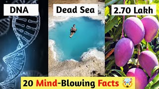 20 Mind-Blowing FACTS | Why Is Only Sunday A Holiday | Dead Sea | Mango Cost Rs 2.7 Lakh Worldkfactz