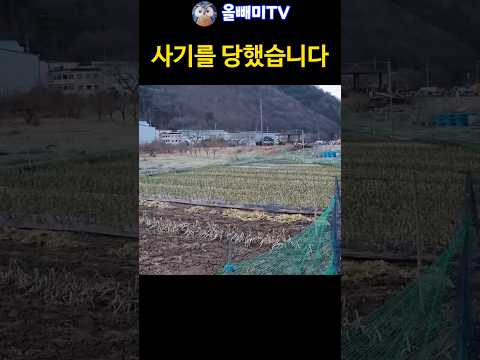 눈뜨고 부동산 사기 당했습니다