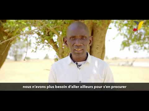 Les bienfaits de la pisciculture communautaire au Mali 