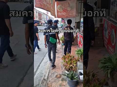 ปลูกขนาดนี้กะให้คนลงไปเดินบนถนนแล้วรถเฉี่ยวเลยมั้ง