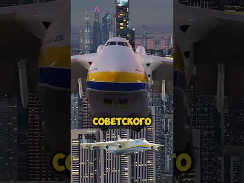25 марта 2025 г.