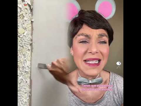 El único animal, que permaneció en la granja, fue aquel pequeño y asustado ratón 🐭
