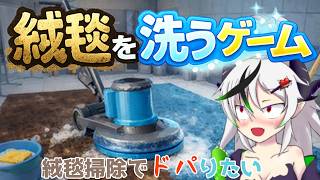 【絨毯を洗うゲーム】絨毯でドパれると聞いて【糸色初芽】
