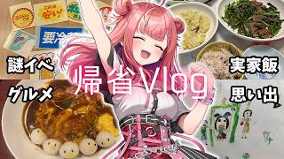 両親から溺愛されている箱入り娘の帰省Vlog（愛知・名古屋？）【春歌みこと/VTuber】