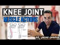 Muscle Function and Anatomy Assessment