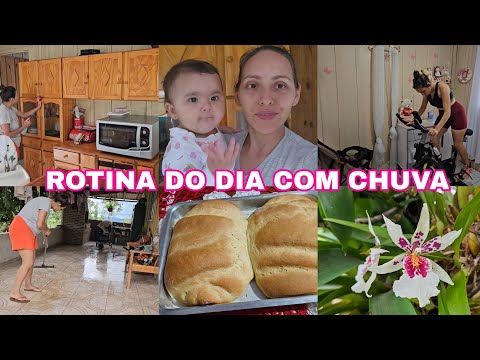 Dia produtivo/vida real/cuidados com a casa,bebê, pão caseiro,treino,flores