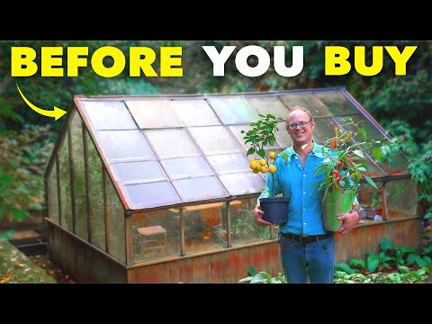 All You Need to Know Before Buying a Greenhouse