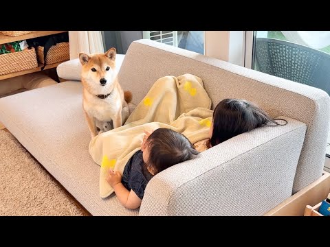 柴犬と女の子姉妹で過ごす最高の夏休みがやってきた