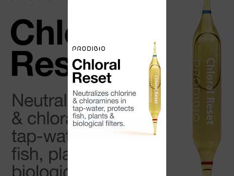 Meet Chloral Reset