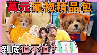 新家族成員的時髦精品包開箱!好幾萬的寵物包值得嗎?