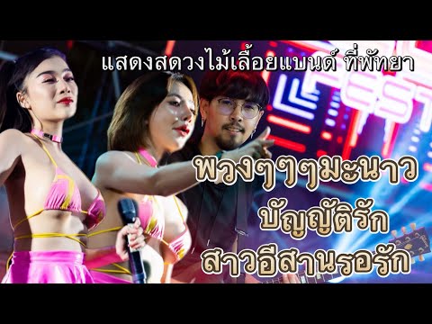 พวงๆๆๆมะนาว บัญญัติรัก สาวอีสานรอรัก | แสดงสดวงไม้เลื้อยแบนด์ (ออย ผึ้งCover)