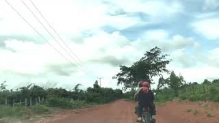 Road To Plantation