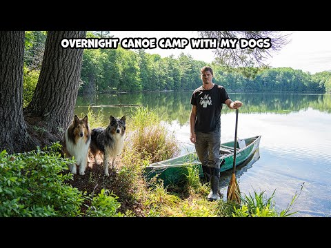 Overnight Canoe Camp With My Dogs