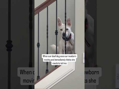 Faith was heading upstairs and stopped in her tracks when the baby started moving 😆