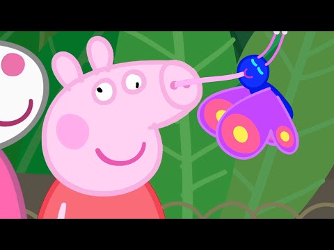 Spiel und Spaß im Tierpark | Peppa-Wutz Volle Episoden 🦖 Cartoons Für Kinder