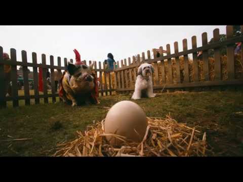 Pudsey The Dog: The Movie - Latest Trailer [Vertigo Films] [HD]
