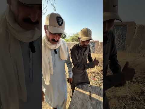Chor ne machli me Kemti heery chupa diye | चोर ने मछली के अंदर छिपाए थे कीमती हीरे #funny