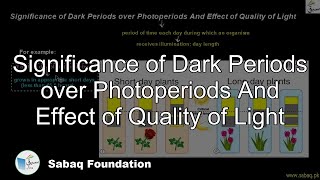 Significance of Dark Periods over Photoperiods And Effect of Quality of Light