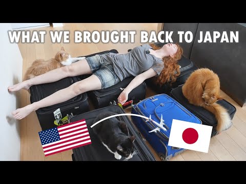 What we brought back to Japan on our trip to America