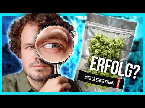 Was hat sich nach einem Jahr legal Kiffen geändert?