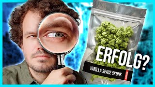 Was hat sich nach einem Jahr legal Kiffen geändert?