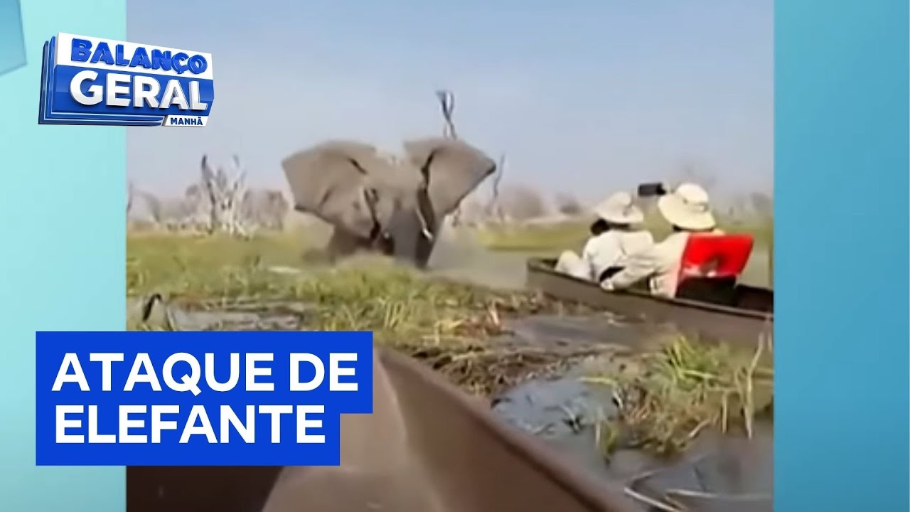 Turistas são atacados por elefante e caem em rio cheio de crocodilos