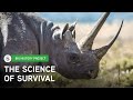 Conservation Science and Sanjayan's Insights