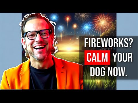 Stop Your Dog's July 4th Panic—The Secret Every Pet Owner Needs to Know!