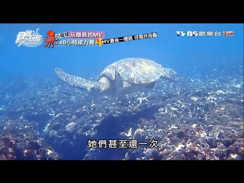 【小琉球】超夯行程 浮潛找海龜 食尚玩家 20160908