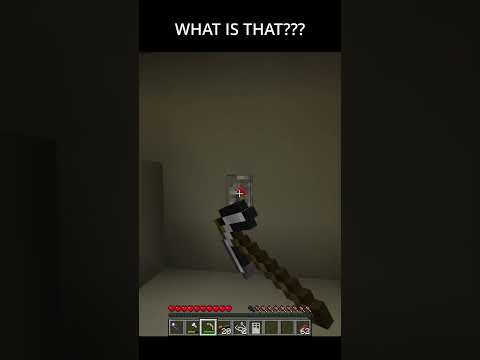 WHAT EVEN JUST HAPPENED