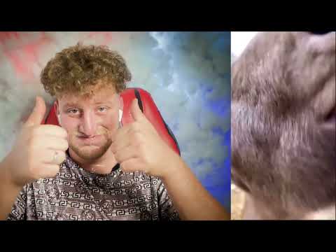 IMPOSSIBLE Try Not To Laugh – Funniest Clips Ever!🤫🤣