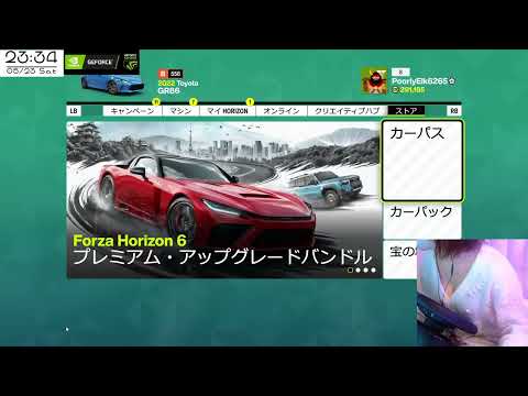 【顔出し】ハンコンでForzaHorizon6 #2