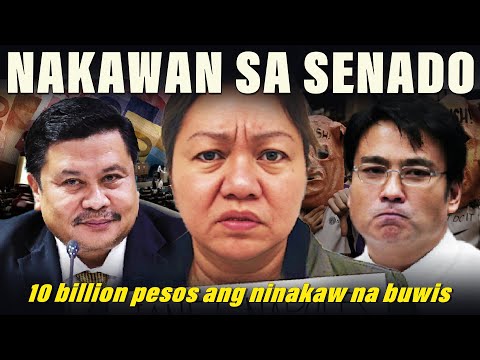 Ano ang nangyari sa 10 Billion Pork Barrel Scam noong 2013 I Sino si Janet Lim Napoles