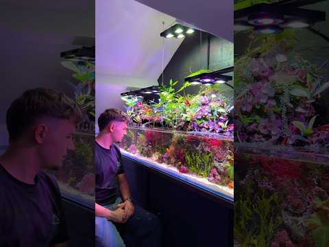 Let’s Check Out my Aquarium 🪸🌱
