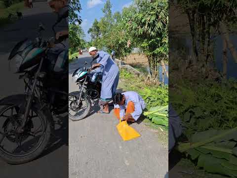 Banana leaves are hidden on the side of the road.