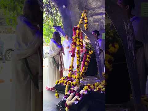 When Shiva Dawns, Life is Celebration!