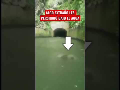 ALGO EXTRAÑO LES PERSIGUIÓ BAJO EL AGUA